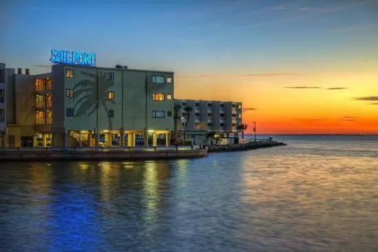 202-Pool, Wifi, Close To Bucs Stadium Tampa Apartment