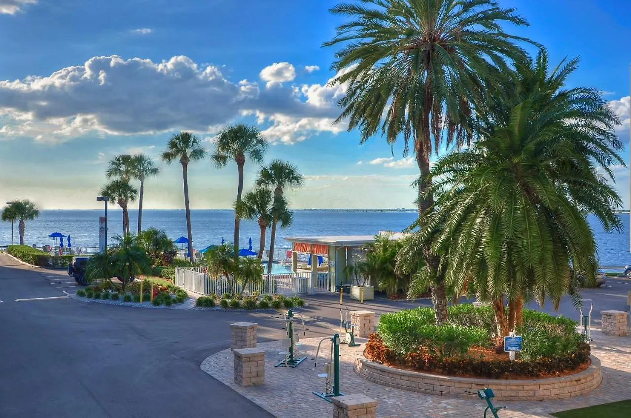 202-Pool, Wifi, Close To Bucs Stadium Tampa 0*,  USA