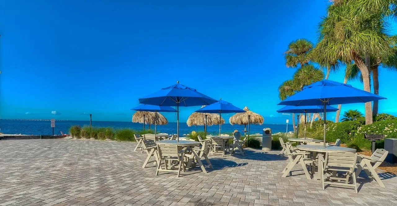 202-Pool, Wifi, Close To Bucs Stadium Tampa 0*,  USA